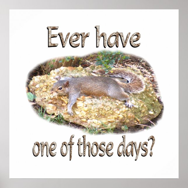 Pôster Esquilo Cansado (Frente)