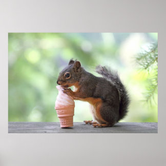 Poster Esquilo comendo um Cone de Sorvete