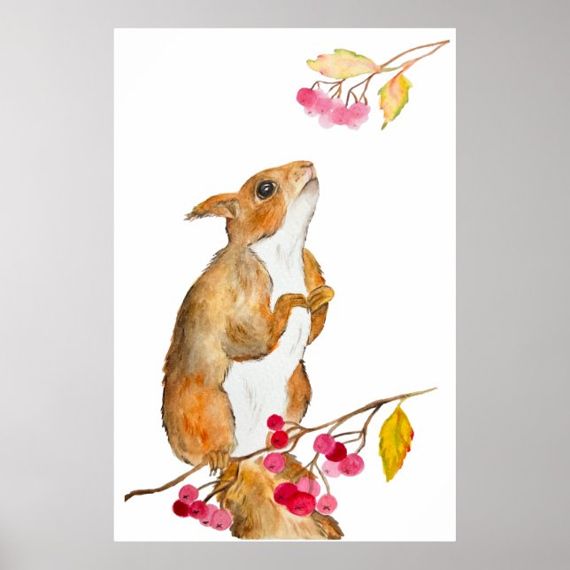 Poster Esquilo de cor-de-água engraçado num galho com bag (Frente)