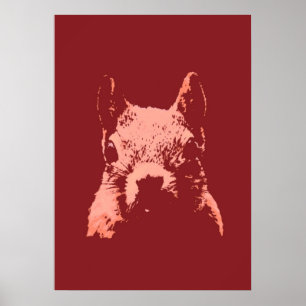 Poster Esquilo do pop art
