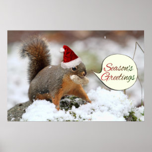 Poster Esquilo do Xmas na neve