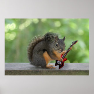 Pôster Esquilo tocando violão elétrico