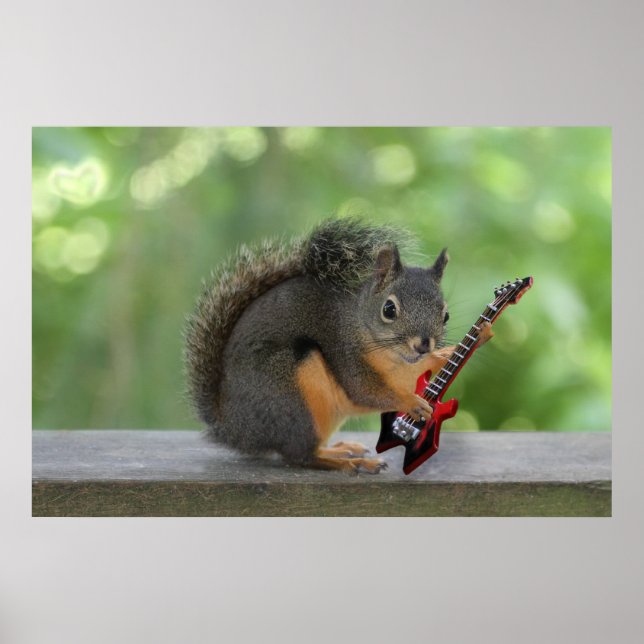 Pôster Esquilo tocando violão elétrico (Frente)