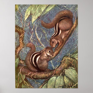Pôster Esquilos-listrados por Louis Sargent, Animais Selv