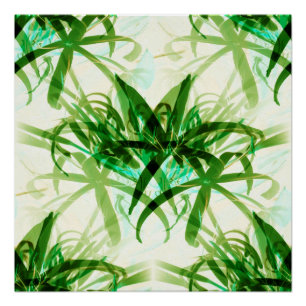 Pôster Esse olhar de bambu…