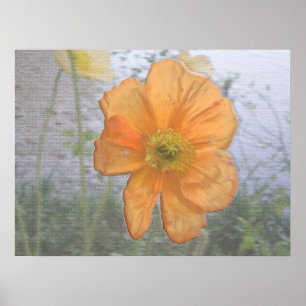 Pôster Essência Laranja