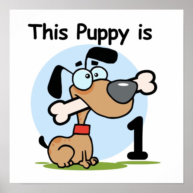 Pôster Esta camiseta e presentes de primeiro aniversario (Frente)