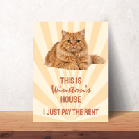 Esta é a Casa do Gato Eu só pago o Aluguel Persona