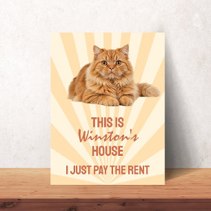 Poster Esta é a Casa do Gato Eu só pago o Aluguel Persona