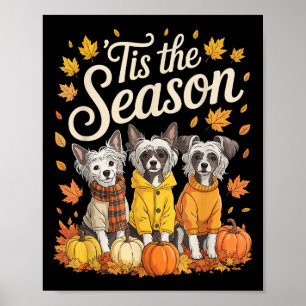 Poster Esta É A Época Chinesa Cachorro Prequim outono Pum
