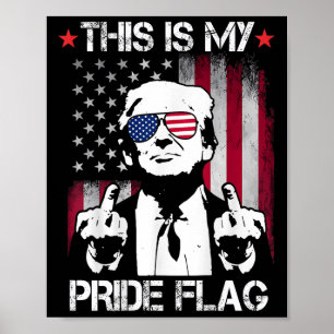 Poster Esta É A Minha Bandeira Do Orgulho Nos Estados Uni