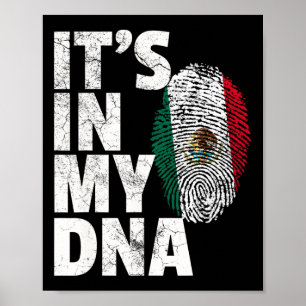 Poster Está no meu Dna Mexicano Bandeira Cinco de Mayo G