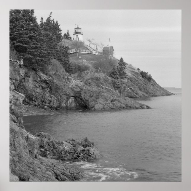 Poster Estação de Luz da Cabeça de Coruja (Frente)