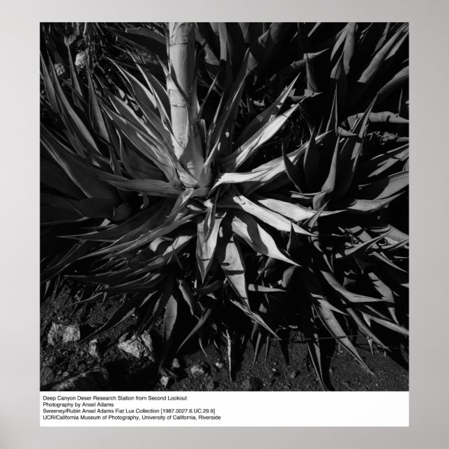 Pôster Estação de Pesquisa do Deserto do Canyon de Ansel  (Frente)