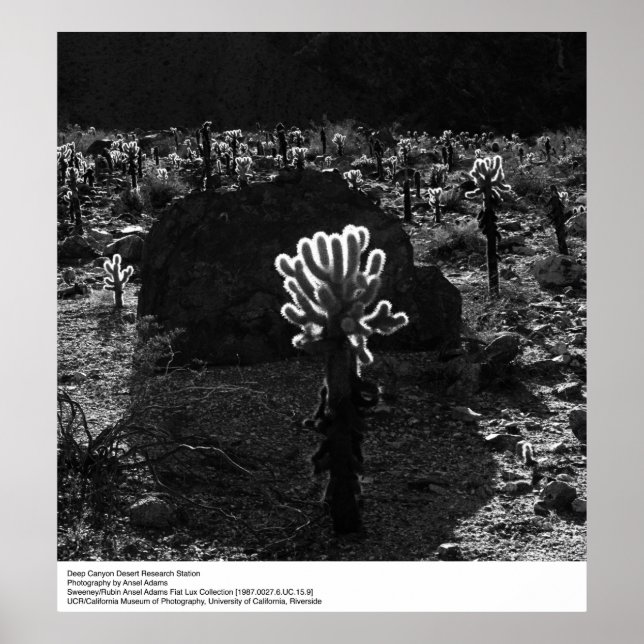 Pôster Estação de Pesquisa do Deserto do Canyon de Ansel  (Frente)