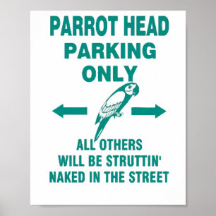 Poster Estacionar apenas