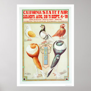 Pôster Estado 1909 justo de Califórnia