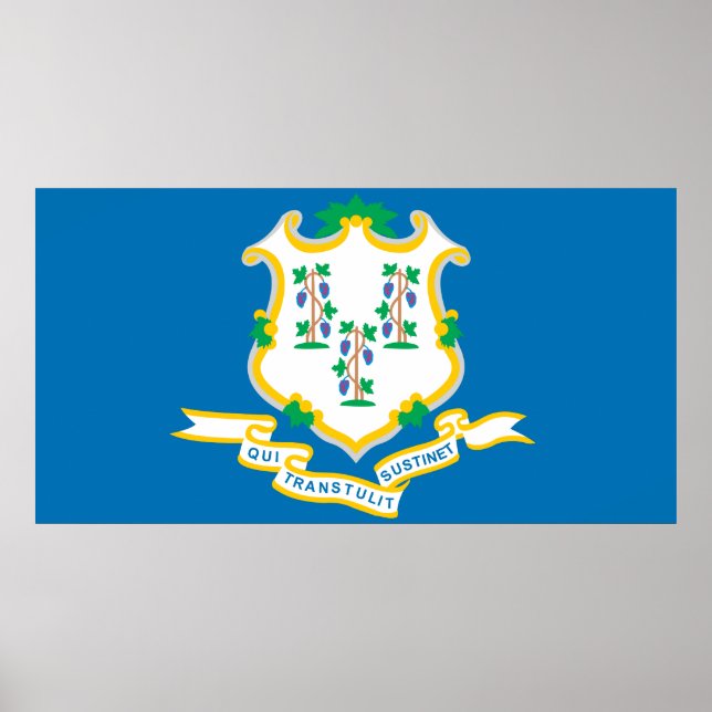 Pôster Estado de bandeira de Connecticut (Frente)