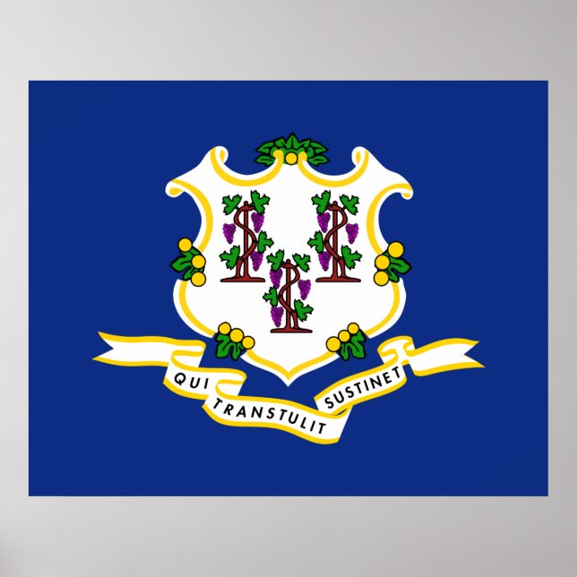 Poster Estado de bandeira do Connecticut (Frente)