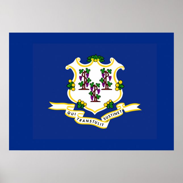 Poster Estado de bandeira do Connecticut (Frente)