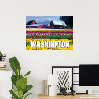 Poster Estado de Washington | Campo de Tulipas
