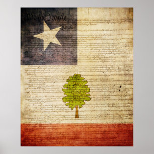 Poster Estado do Mississippi Flag 1861