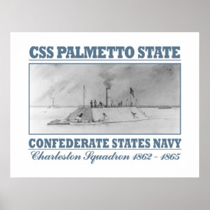 Pôster Estado do Palmetto do CSS
