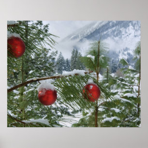 Poster Estado dos EUA, Washington, Chelan County