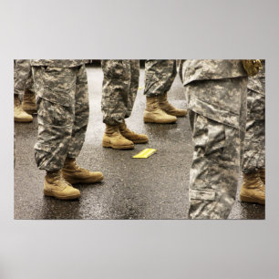 Pôster Estado dos EUA, Washington, Issaquah, dia Salmon