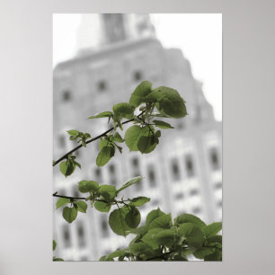 Poster Estado Império em Nova York