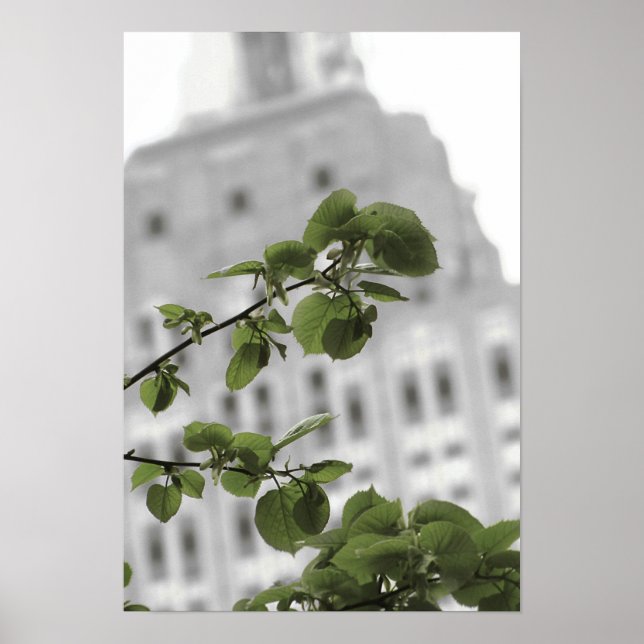 Poster Estado Império em Nova York (Frente)