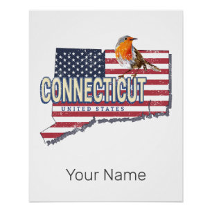 Pôster Estado unido do Connecticut mapeamento de estado r