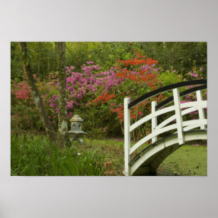 Poster Estados Unidos; Carolina do Sul; Charleston; 5