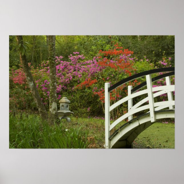 Poster Estados Unidos; Carolina do Sul; Charleston; 5 (Frente)