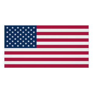 Pôster Estados Unidos da América Bandeira EUA Patriótico