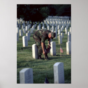 Pôster Estados Unidos, Estado da Virgínia, Arlington.