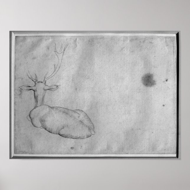 Pôster Estag de repouso (Frente)