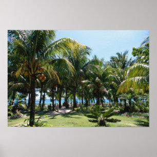 Poster Estância de praia