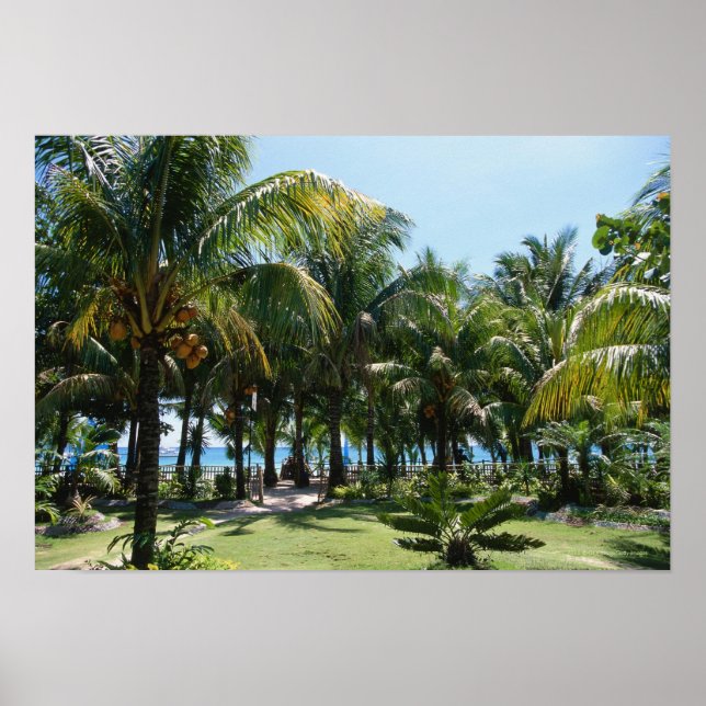 Poster Estância de praia (Frente)