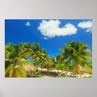Estância tropical de praia, Belize