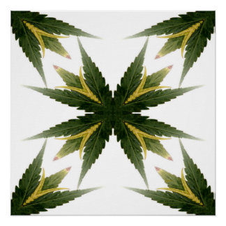 Pôster Estar Orgulhoso.