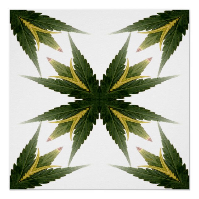 Pôster Estar Orgulhoso. (Frente)