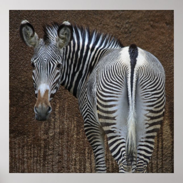 Pôster Estás A Olhar Para Mim? (Frente)