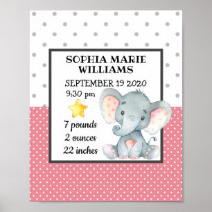 Poster Estatísticas de Aniversário da Garota Elefante R
