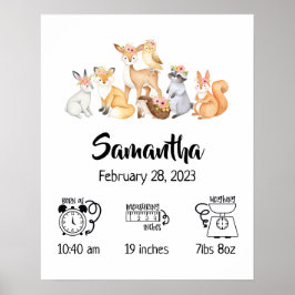 Poster Estatísticas de nascimento de animais da floresta
