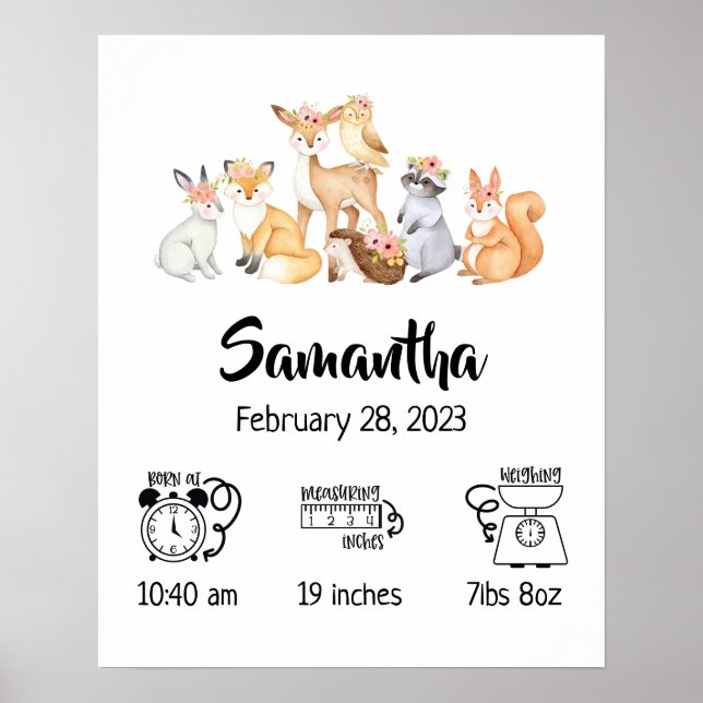 Poster Estatísticas de nascimento de animais da floresta  (Frente)