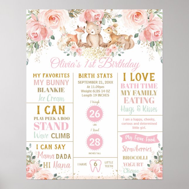 Poster Estatísticas de Nascimento do 1º Aniversário da Fl (Frente)