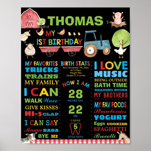 Poster Estatísticas de Nascimento do Marco de 1º Aniversá (Frente)