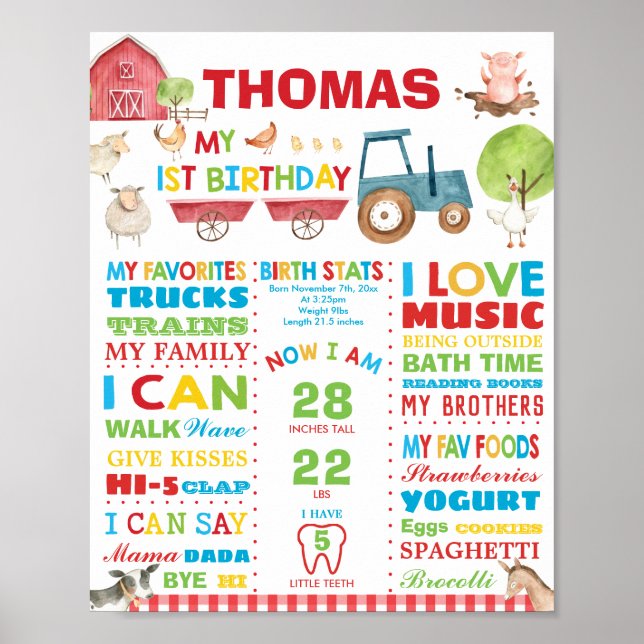 Poster Estatísticas de Nascimento do primeiro aniversario (Frente)