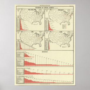 Pôster estatísticas especiais da escola